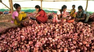 Govt plans to make onion transport by railways the norm to moderate prices