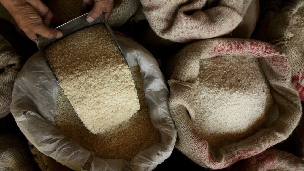 In September, the government had cut the duty from 20% to 10% and approved the resumption of non-basmati white rice exports. Photo: Reuters