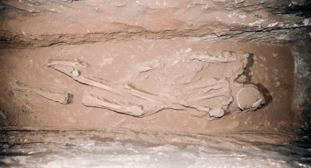 2,000-year-old tomb with 12 skeletons discovered in Jordan