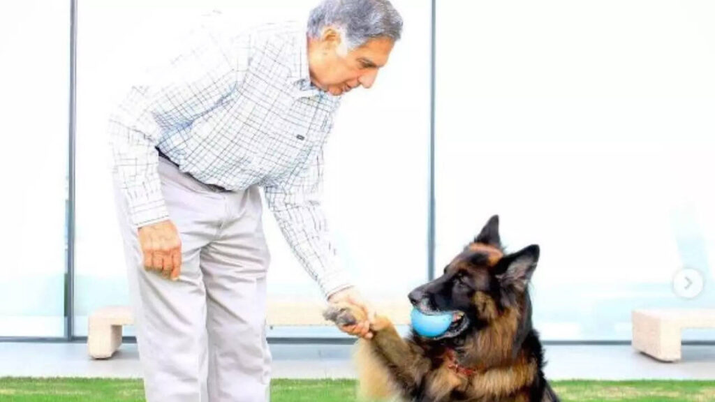 5 incidents that proved his eternal love for animals