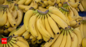 Bananas for weight loss: Smart ways to include them in your diet |