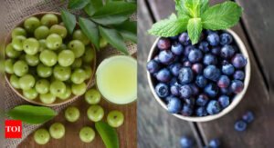 Blueberry vs Amla: Which is a better fruit for the skin?