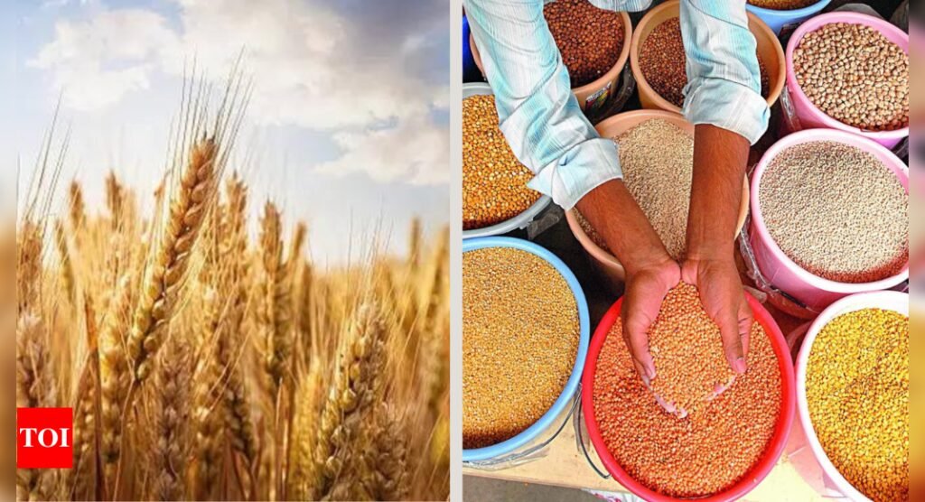 Centre approves MSP for 6 Rabi crops for marketing season 2025-26; wheat now Rs 2,425 per quintal