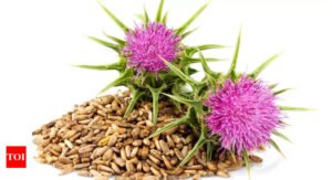 Milk Thistle: Why it is considered the ultimate liver reviver