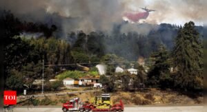 Oakland Bushfire: Oakland bushfire destroys homes, forces hundreds to evacuate as blaze spreads