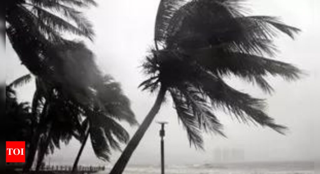 Storm Trami lands in central Vietnam posing flood risks