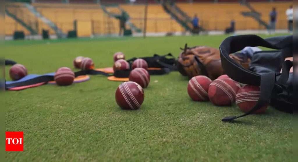 Test cricket is nothing but... - Indian players reveal what the red-ball format means to them | Cricket News