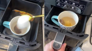 Viral Video Shows How To Make Tea In Air Fryer, Internet Reacts