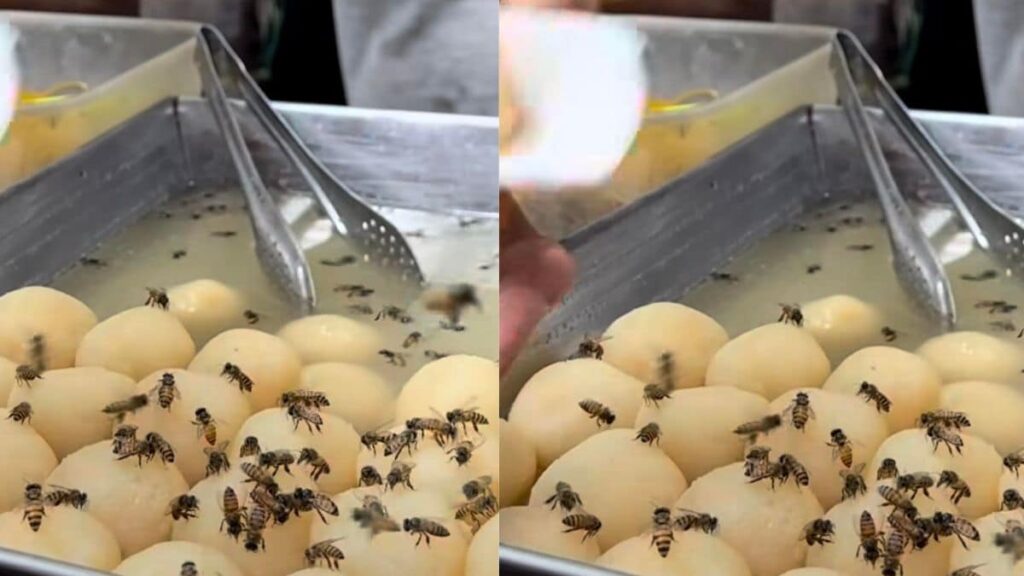 Viral Video Shows Vendor Selling Rasgullas With Bees Hovering Around Them