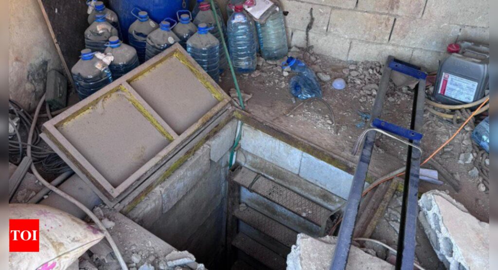 Watch: IDF uncovers underground shaft, captures Hezbollah terrorist