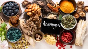 What Are Adaptogens? Find Out How These 3 Herbs May Help You Tackle Stress Head-On