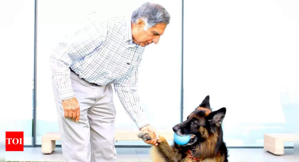 When Ratan Tata opted to be with his ailing dog over receiving an award from Prince Charles