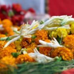 Why Marigold is the preferred flower for most Hindu rituals and festivals