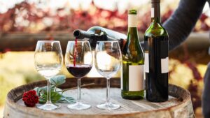 Wine Glossary: Common Terminology Every Wine Lover Should Know