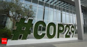 COP29 host Azerbaijan says doors 'still open' after spat with France
