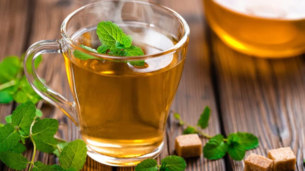 Green Tea Could Help Combat Effects Of Stress And High-Fat Foods, Study Suggests