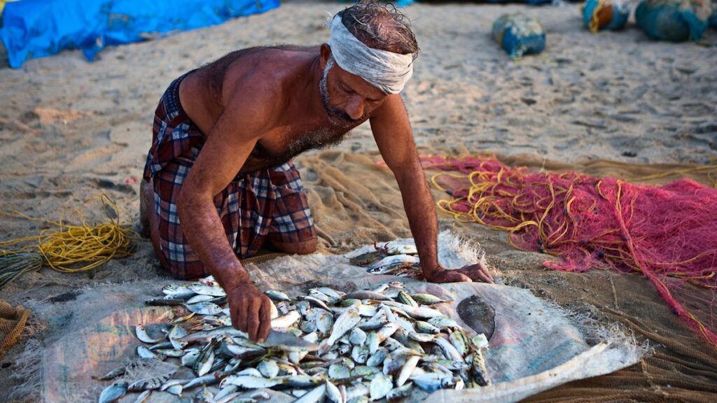 Indias Fish Production Doubles To 17.5 Million Tons In A Decade: Fisheries Minister