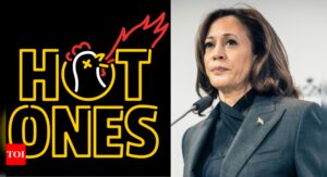 Kamala Harris Campaign Setback: Kamala Harris presidential campaign hit a roadblock when internet show 'Hot Ones' declined interview request