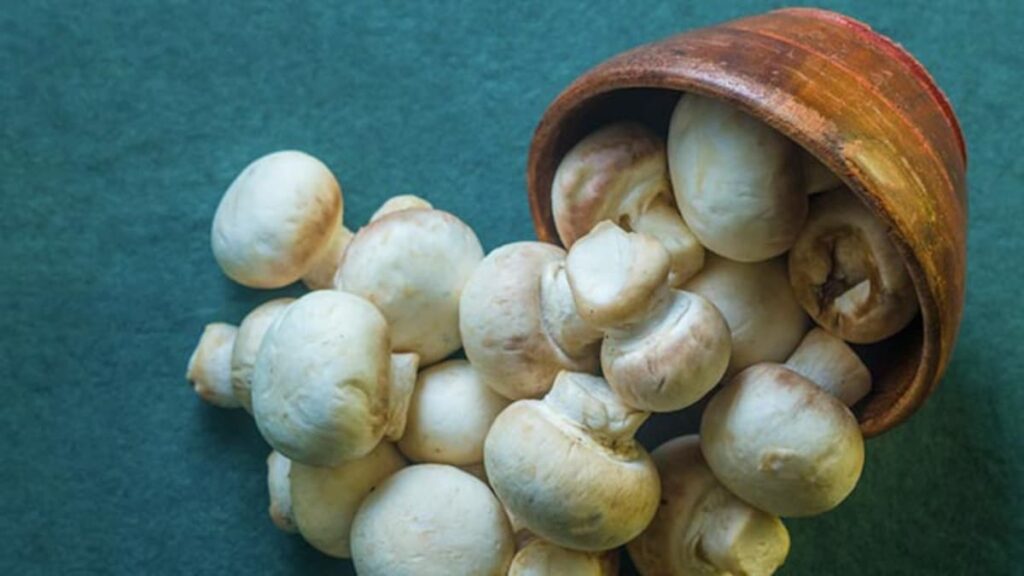 Love Mushrooms? 5 Simple Hacks To Keep Them Fresh