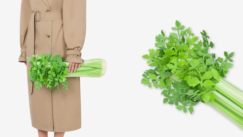 Moschino Introduces Food-Inspired Celery Clutch At A Whopping Price Of Rs 3.75 Lakh