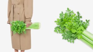 Moschino Introduces Food-Inspired Celery Clutch At A Whopping Price Of Rs 3.75 Lakh