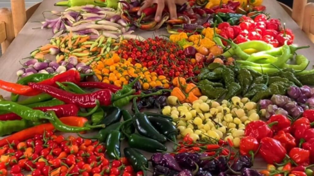 "Never Knew There Were So Many": Vloggers Video Showing 35 Kinds Of Peppers Goes Viral