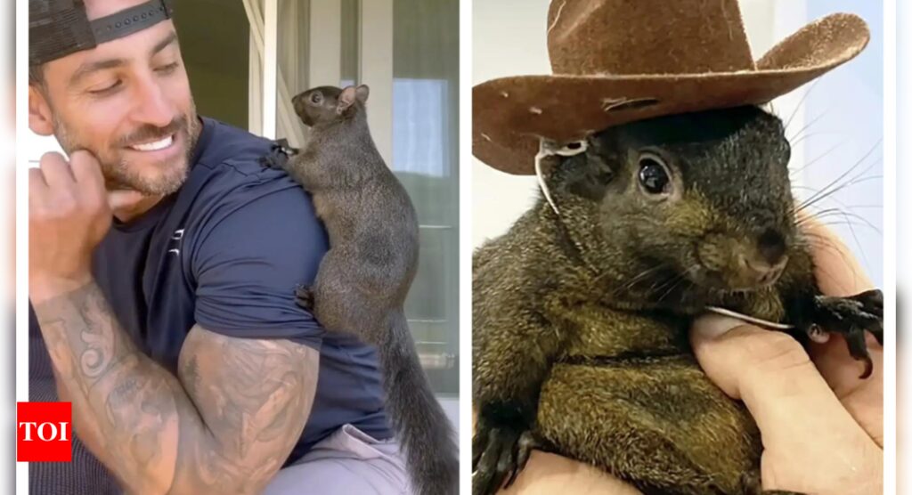 Peanut The Squirrel: Elon Musk, RFK Jr react to euthanization of P'Nut the Squirrel: 'Are these the same guys...'