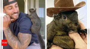 Peanut The Squirrel: Elon Musk, RFK Jr react to euthanization of P'Nut the Squirrel: 'Are these the same guys...'