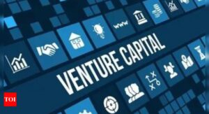 Private equity-venture capital funds dry up: Worst year since 2019