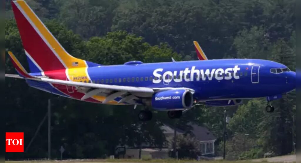 Southwest Airlines plane hit by bullet at Dallas airport