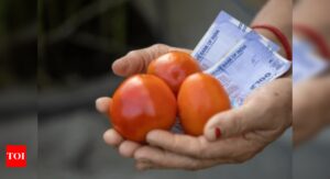 Tomato prices drop by more than 22% as supply improves