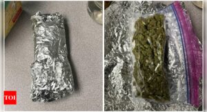 Uber Eats Marijuana Case: US: Uber Eats burrito delivery turns out to be marijuana