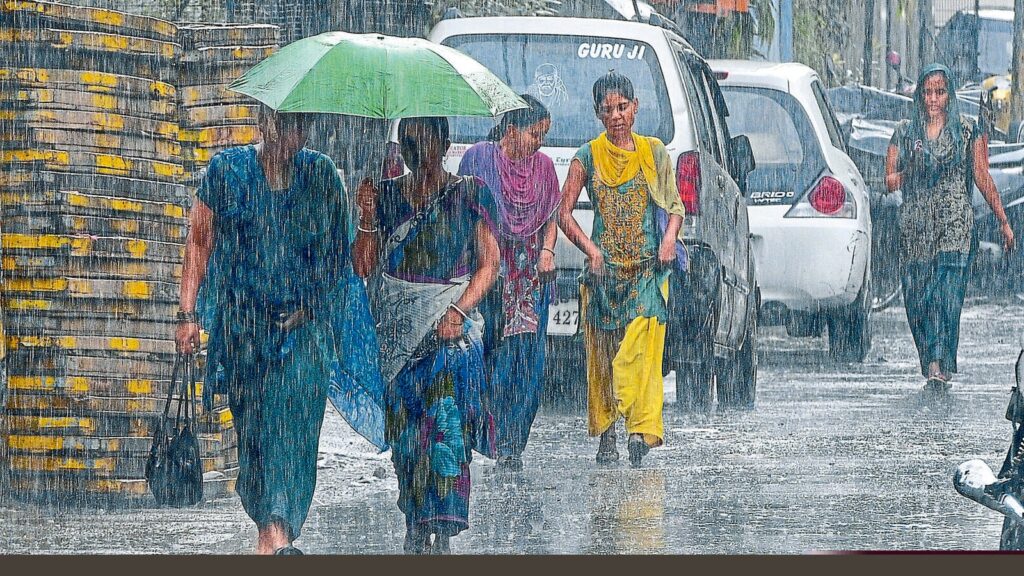 The months of July, August and September were wetter, with 9%, 15.3% and 12.5% excess rain, respectively